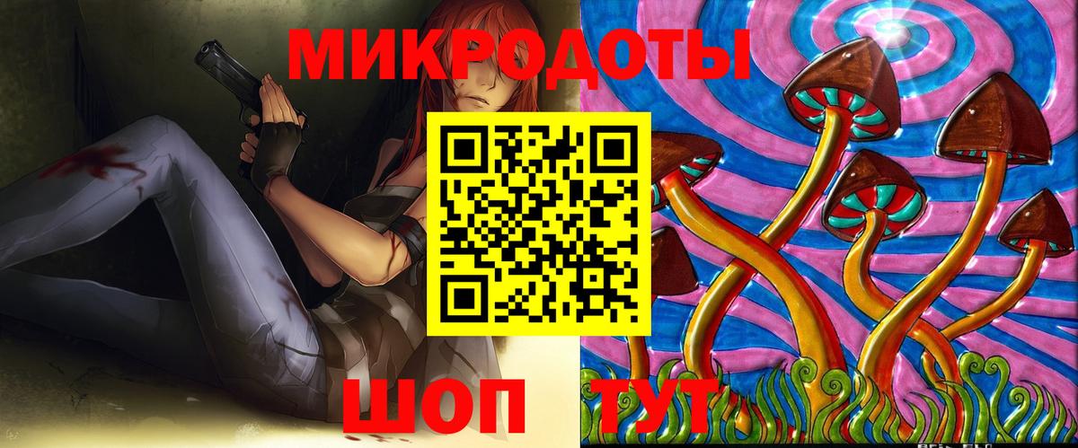 сколько стоит  Вход с VPN  Спасск-Дальний  Псилоцибиновые грибы Cubensis 